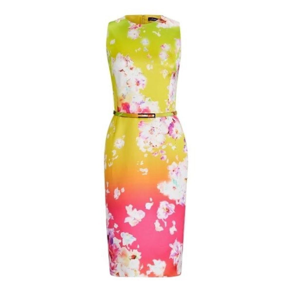 Ralph Laure Pre-Spring ‘20 Multi Tucson Ombré Floral Print Belted Cocktail Dress